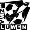 Zwaluwen